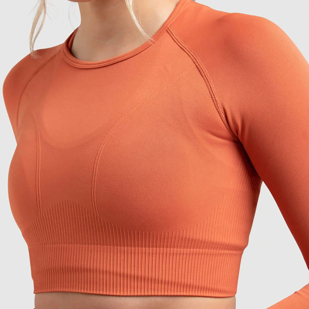 بنطلون رياضي بدون درزات من Peach Hip، حمالة صدر رياضية، ملابس يوغا