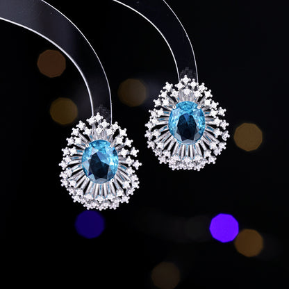 Sterling Silver Needle Light Luxury High-grade Luxury Blooming Fireworks Earrings