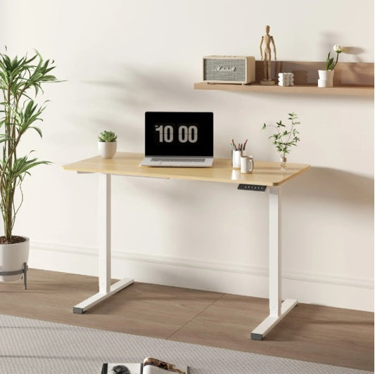 Electric Standing Desk Whole Piece Adjustable Height Desk Home Office Computer Workstation Sit Stand Up Desk