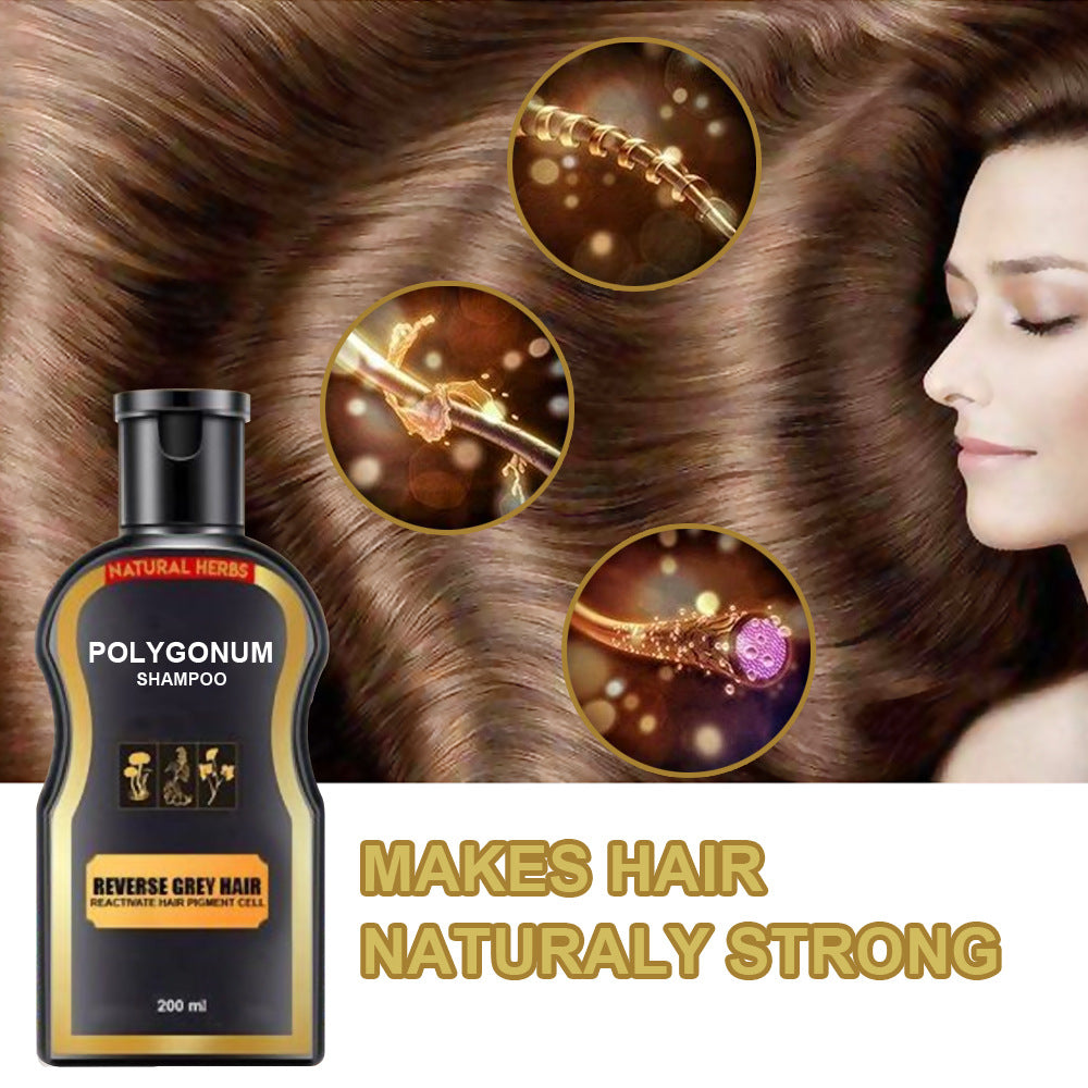 Natural Polygonum multiflorum shampoo, black hair care shampoo, natural hair color solid hair shampoo wholesale