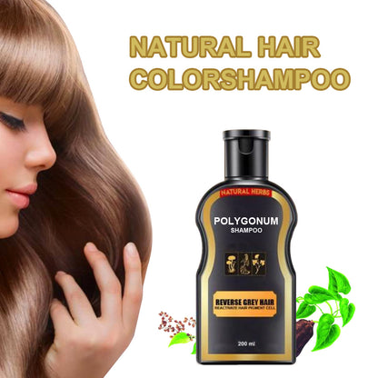 Natural Polygonum multiflorum shampoo, black hair care shampoo, natural hair color solid hair shampoo wholesale