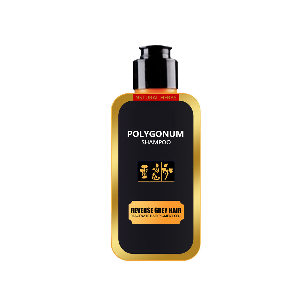 Natural Polygonum multiflorum shampoo, black hair care shampoo, natural hair color solid hair shampoo wholesale