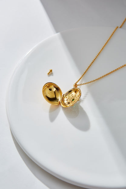 Luxury Custom 925 Silver Plated Photo Clip Necklace