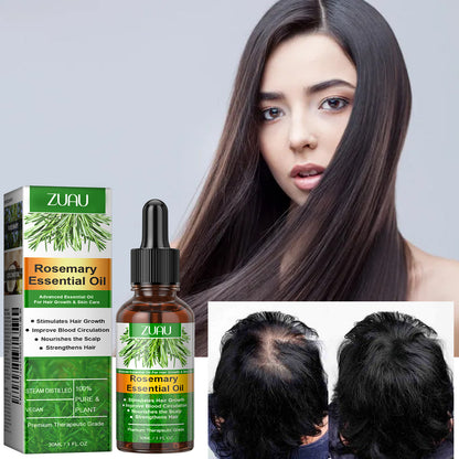 Rosemary hair care essential oil nourishes the hair roots, strengthens the hair, improves dryness, frizziness, and smoothes the hair.