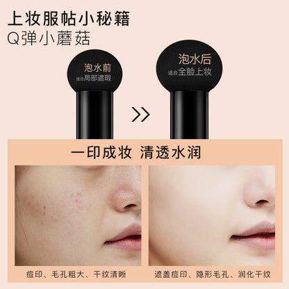 Fanzhen Mushroom Cushion Beauty Cream Small Mushroom Head Cushion Foundation Concealer Isolation BB Cream Makeup Wholesale